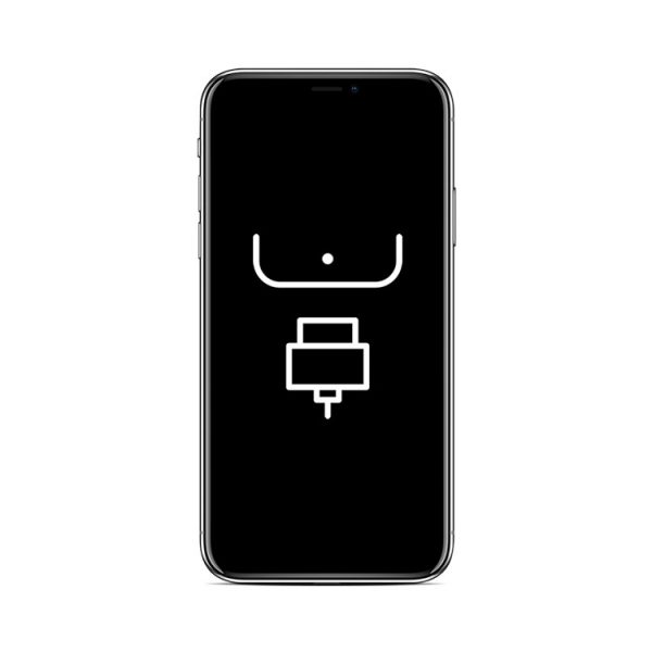 Reparação Porta de Ligação (Dock) - iPhone XS