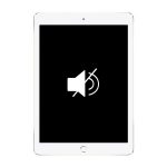 Reparação Botão Silêncio - iPad Air 2