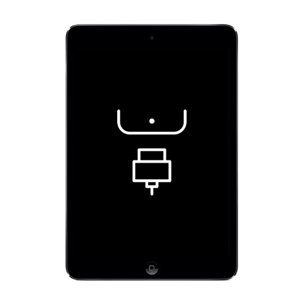 Reparação Porta Dock – iPad Mini 1